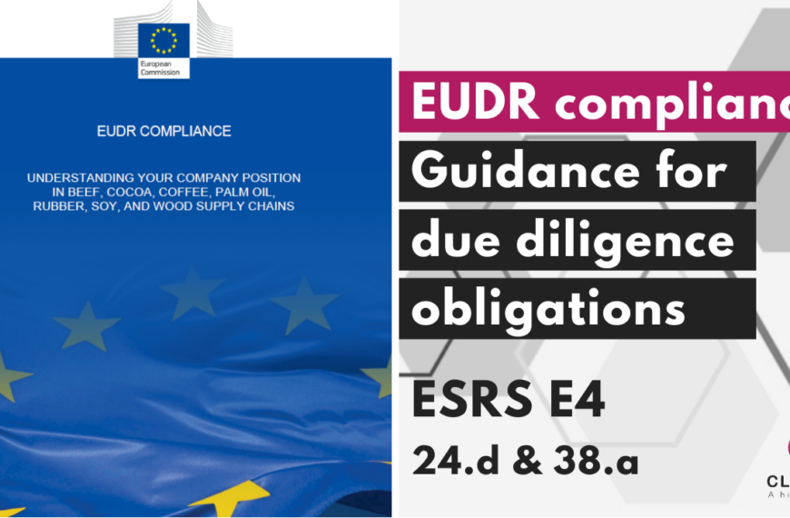 EUDR compliance – a guide to understanding deforestation due diligence obligations