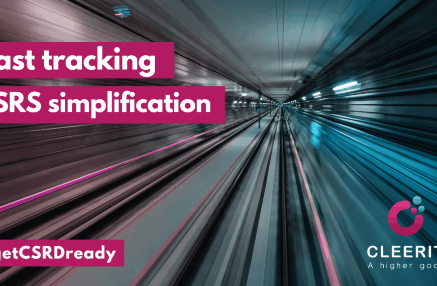 Fast-tracked work plan for the revision and simplification of the ESRS