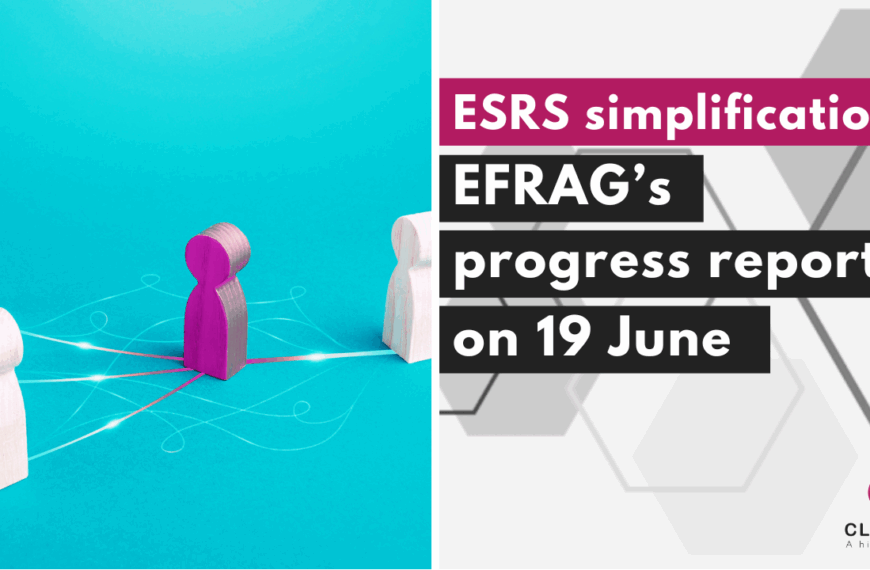 Progress report on ESRS simplification