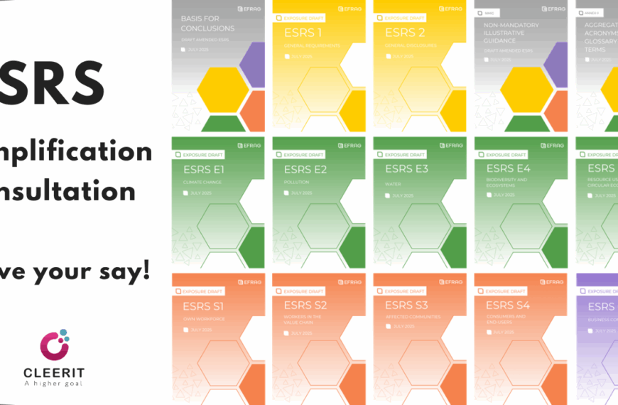 ESRS simplification consultation