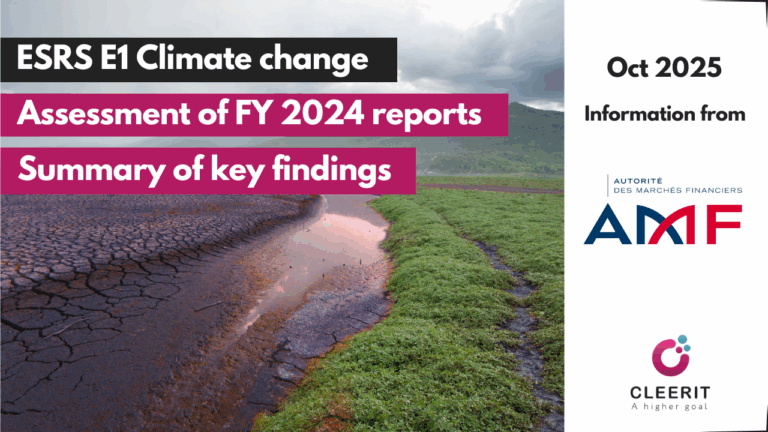 Assessment of published ESRS statements by AMF – ESRS E1 Climate change