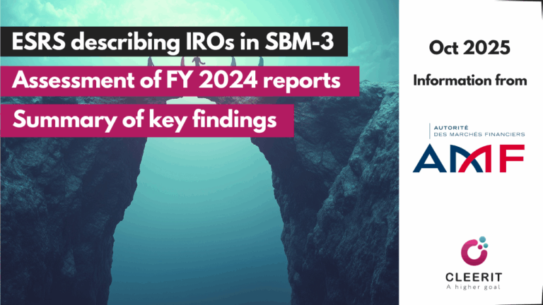 Assessment of published ESRS statements by AMF – DMA outcome & SBM-3