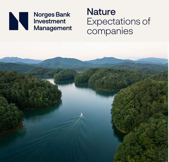 The world’s biggest individual investor is effectively redefining financial materiality